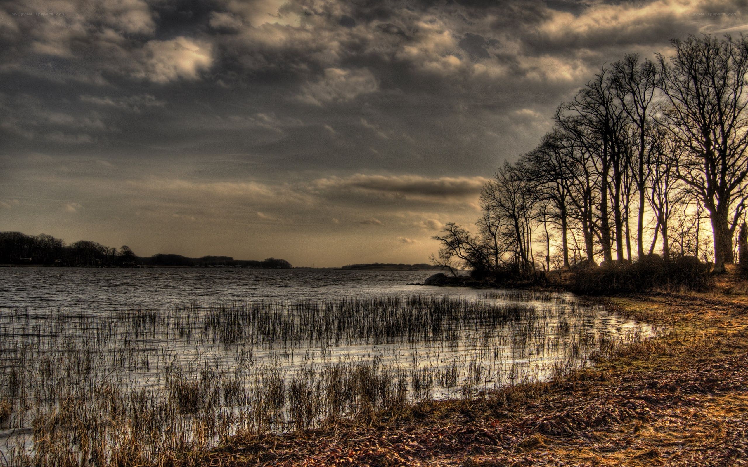 Lake at dusk with bare trees