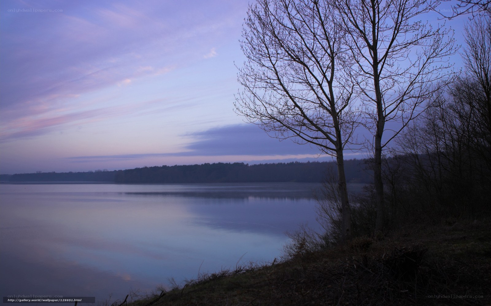 Lake at dusk with bare trees