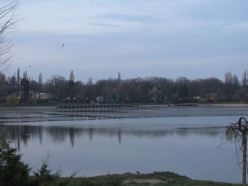 Lake at dusk with birds