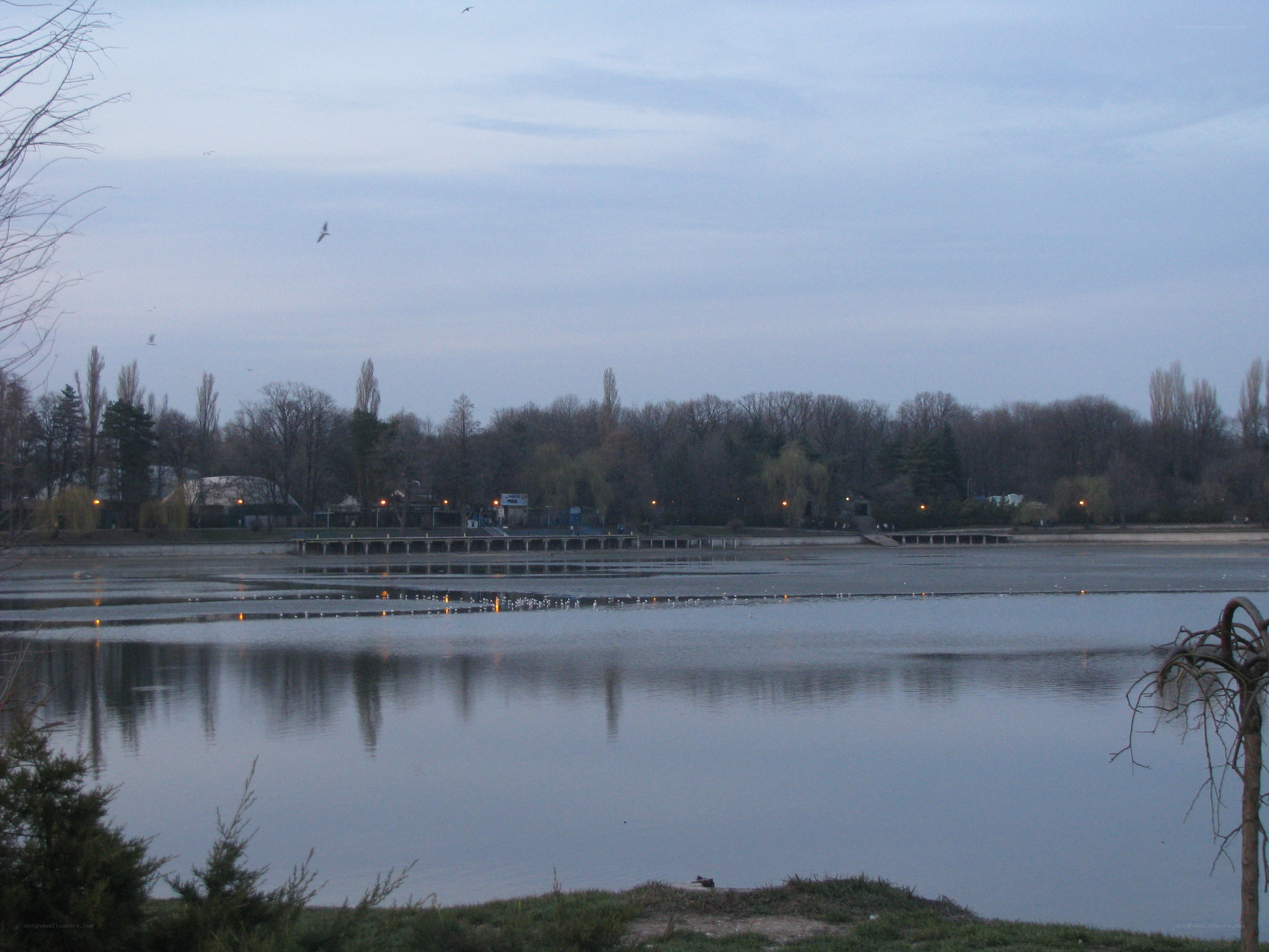 Lake at dusk with birds