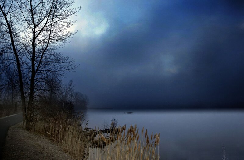 Lake at Dusk with Reeds — Blue