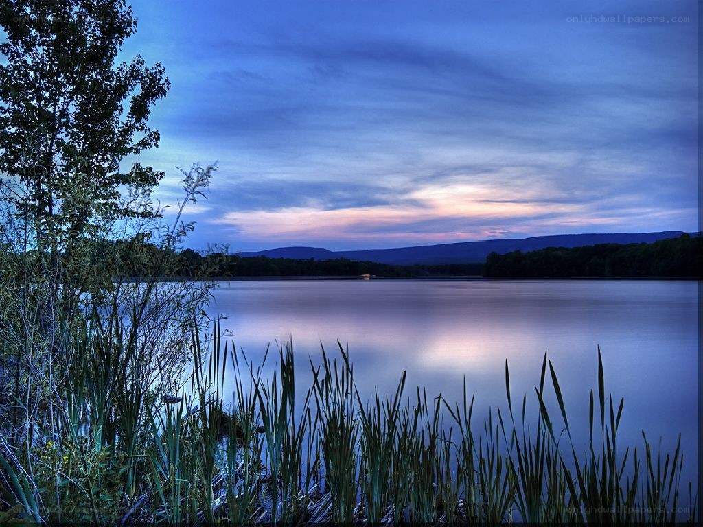 Lake at dusk with reeds