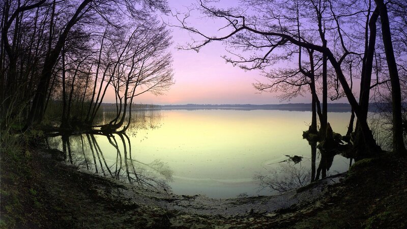 Lake at dusk with tree reflections