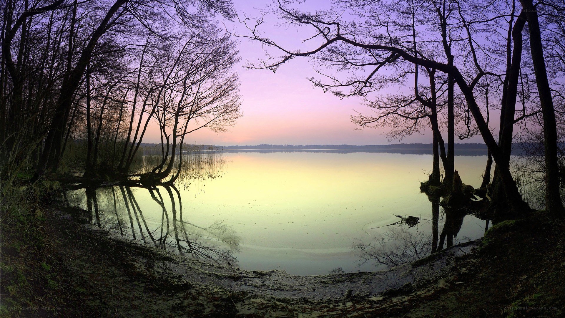 Lake at dusk with tree reflections