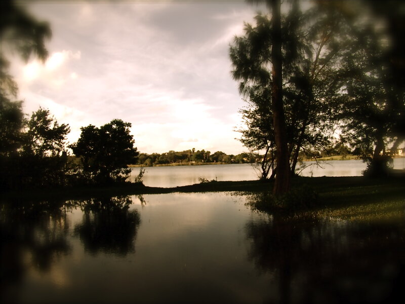 Lake at dusk with trees