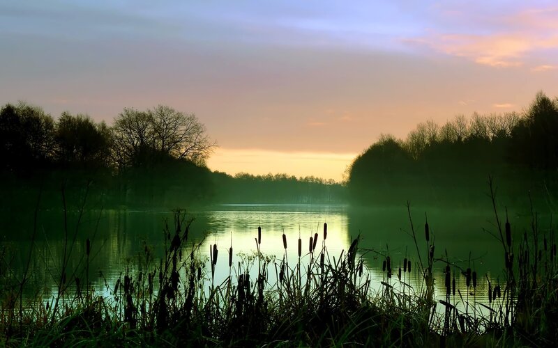 Lake at Sunrise — Green, Serene, Photograph, Trees, Reeds, Sky