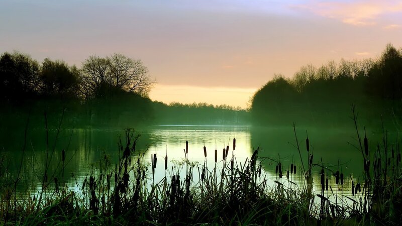 Lake at Sunrise — Green, Serene