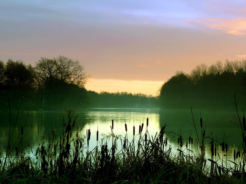 Lake at Sunrise — Green