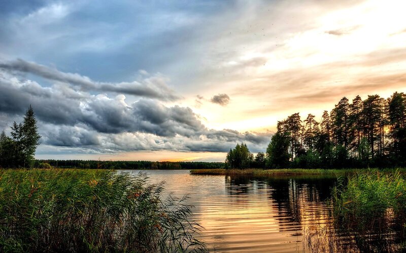 Lake at Sunset — Blue, Dramatic, Photograph, Trees, Reeds, Clouds