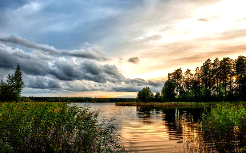 Lake at Sunset — Blue, Dramatic, Photograph, Trees, Reeds