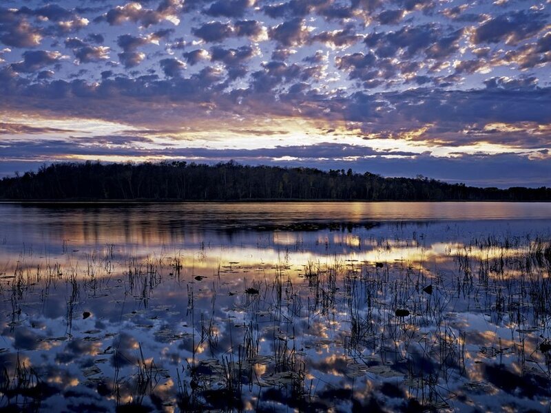 Lake at Sunset — Blue, Serene, Photograph, Sky, Trees, Reeds, Purple
