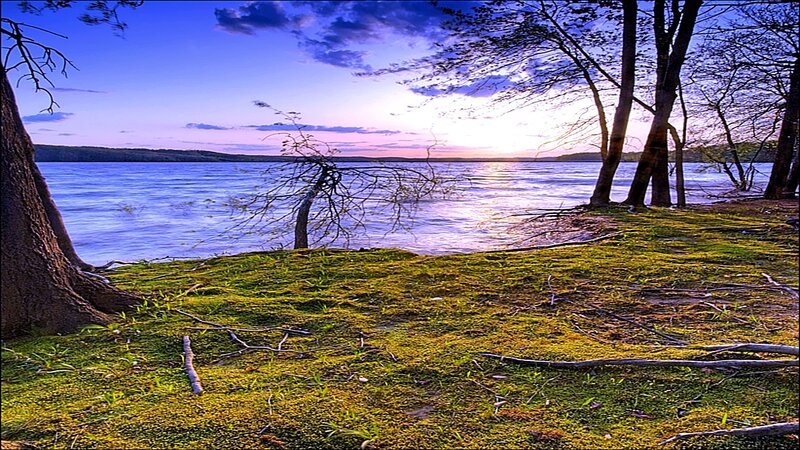 Lake at Sunset — Blue, Serene, Photograph, Trees, Sky, Water