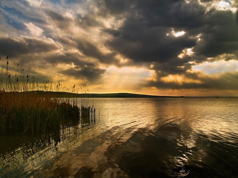 Lake at Sunset — Gold