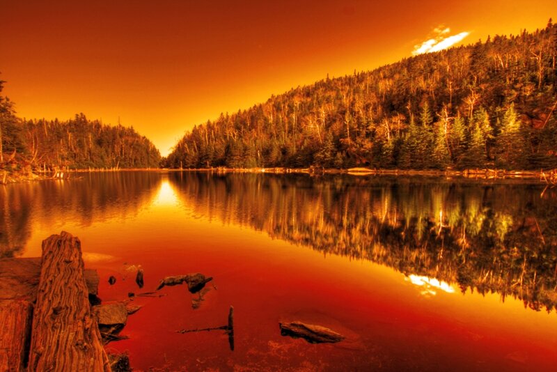 Lake at Sunset — Orange, Dramatic, Photograph, Forest, Trees, Log