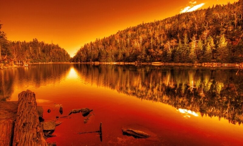 Lake at Sunset — Orange, Dramatic, Photograph, Forest, Trees