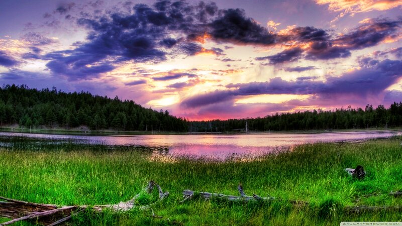 Lake at Sunset — Purple, Dramatic, Photograph, Forest