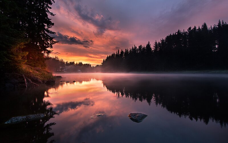 Lake at Sunset — Purple, Serene, Photograph, Trees, Fog