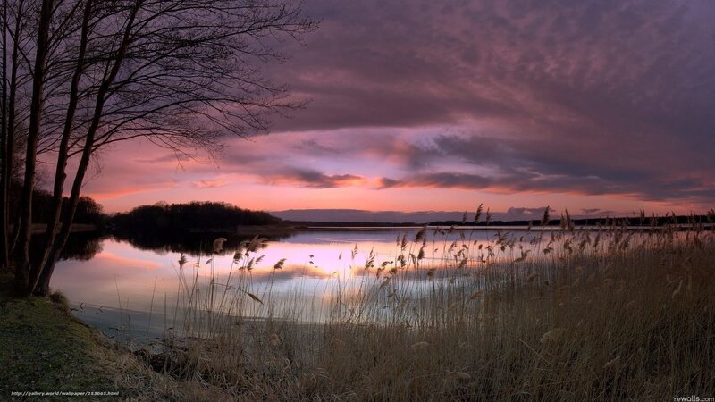 Lake at Sunset — Purple, Serene, Photograph, Trees, Reeds, Sky