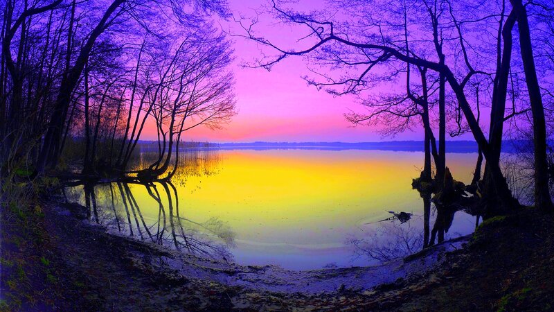 Lake at Sunset — Purple, Serene, Photograph, Trees