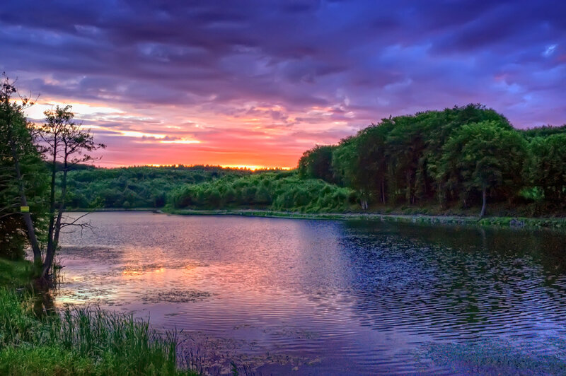 Lake at Sunset — Purple, Serene