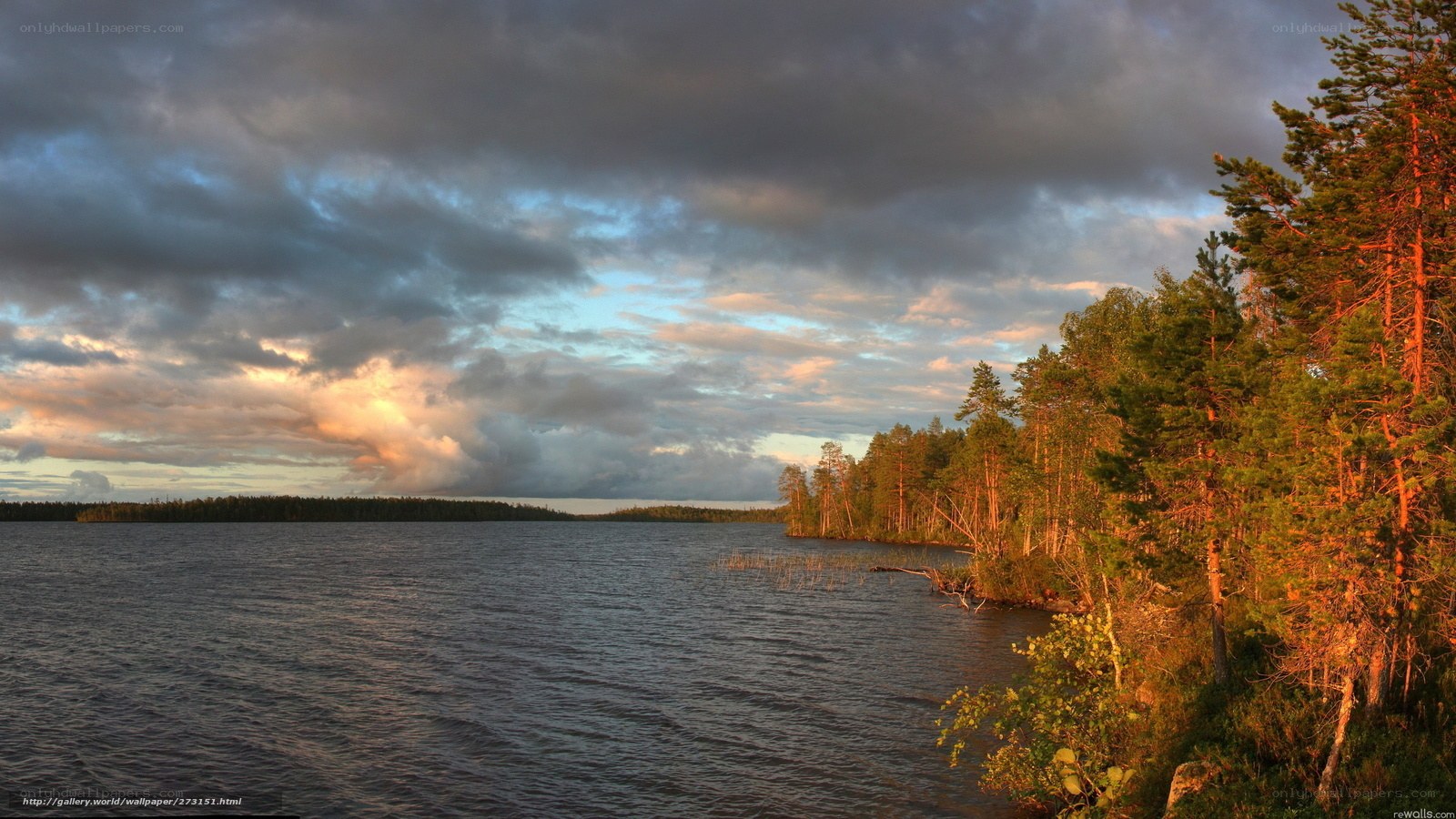 Lake at sunset with forest