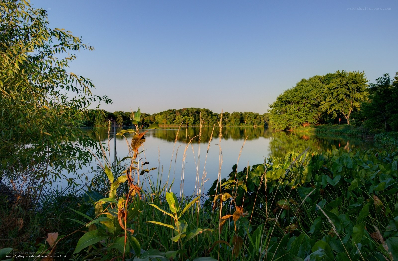 Lake at sunset with greenery