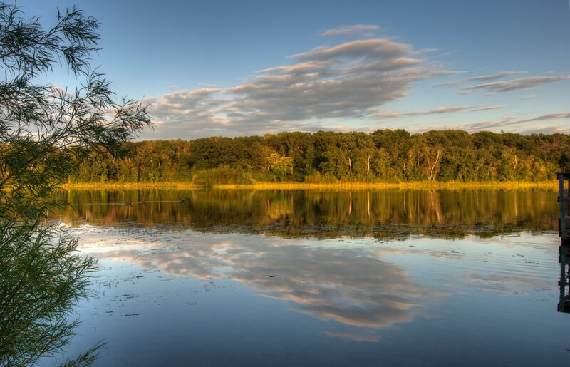 Lake at sunset with tree reflection