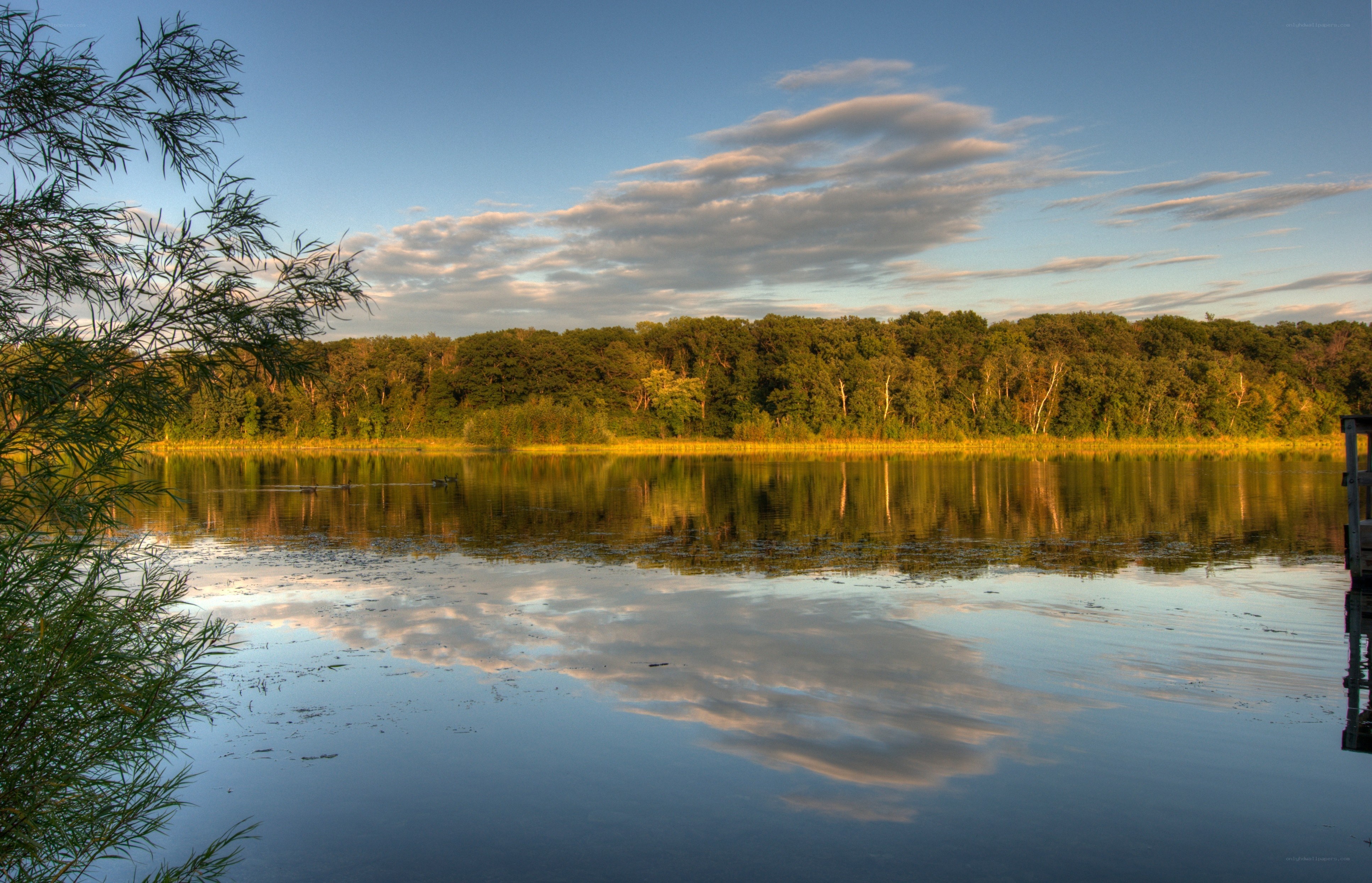 Lake at sunset with tree reflection