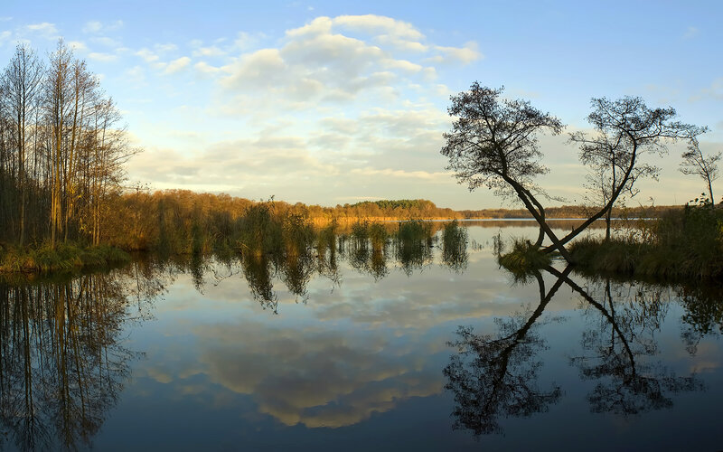 Lake at sunset with tree reflections