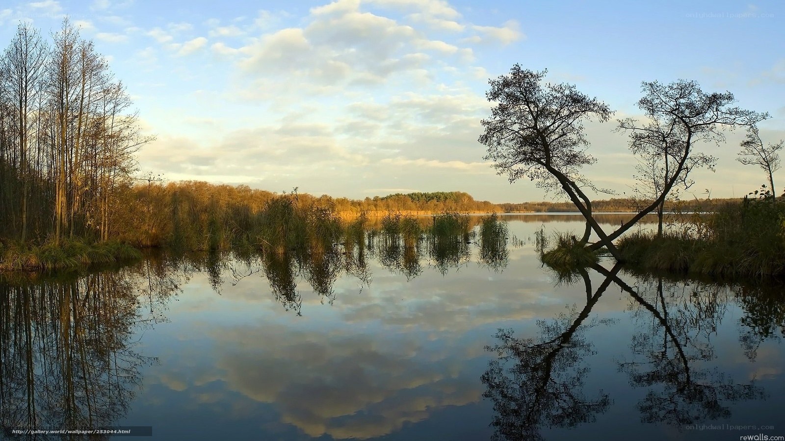 Lake at sunset with tree reflections