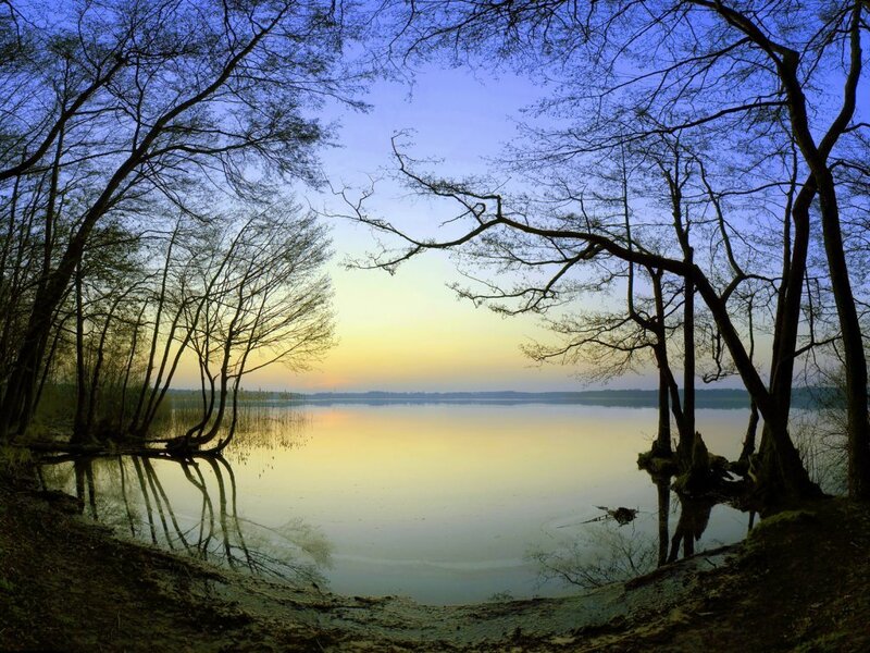 Lake at sunset with tree silhouettes