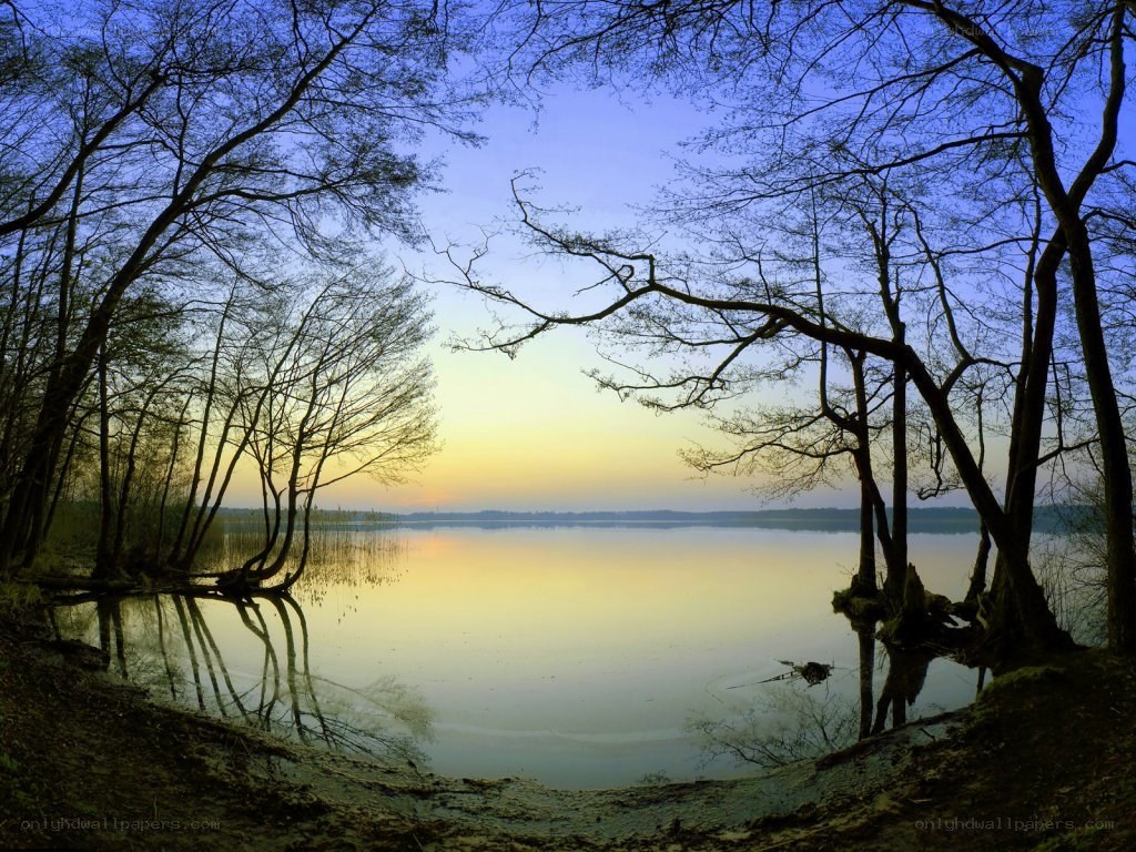 Lake at sunset with tree silhouettes