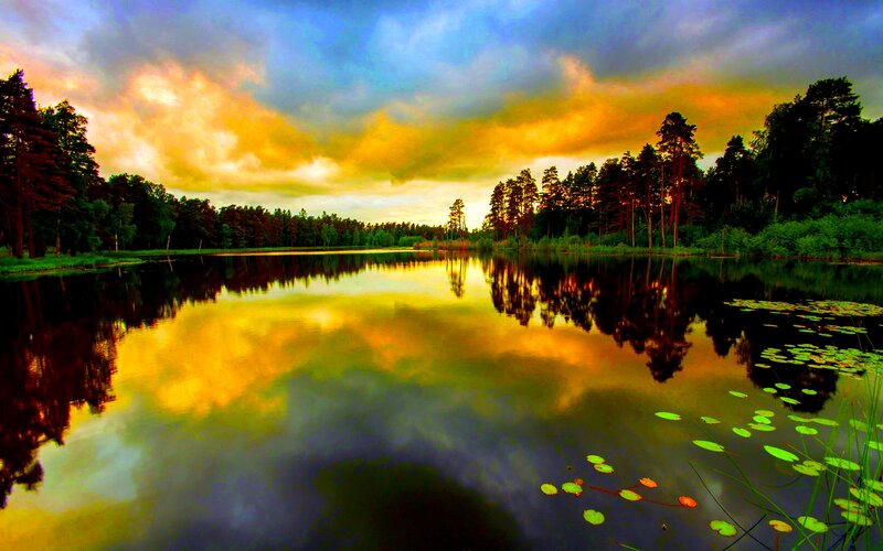 Lake at Sunset — Yellow, Dramatic