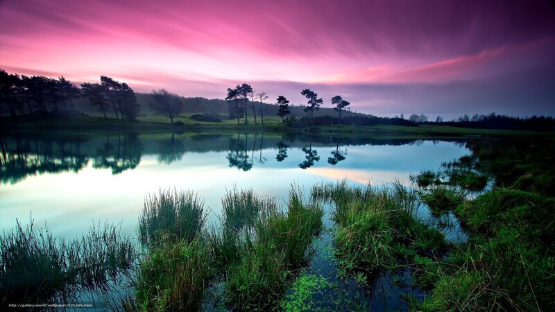 Lake at Twilight — Pink