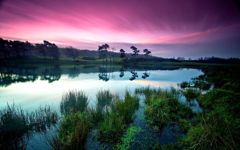Lake at Twilight — Purple