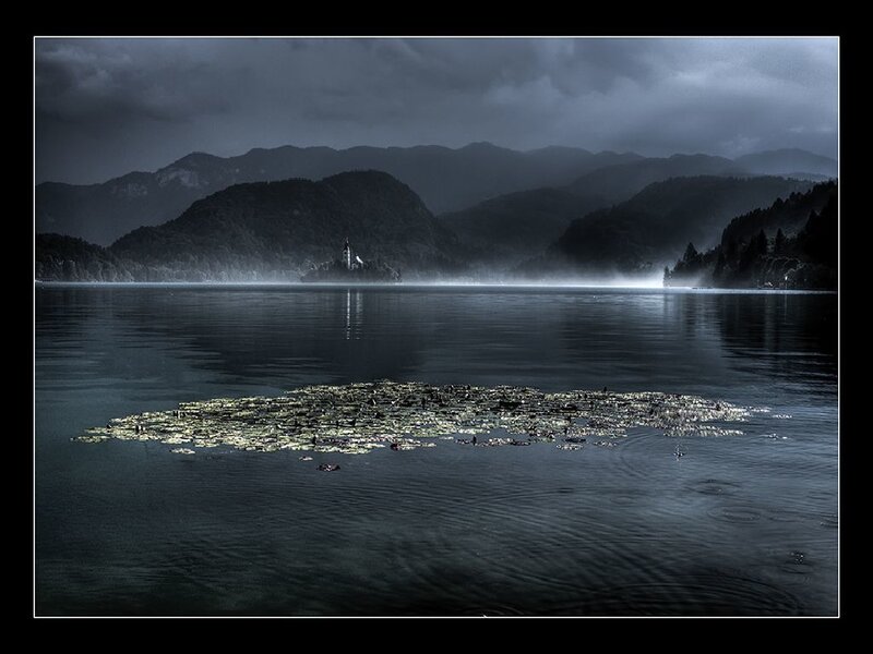 Lake Bled with lily pads