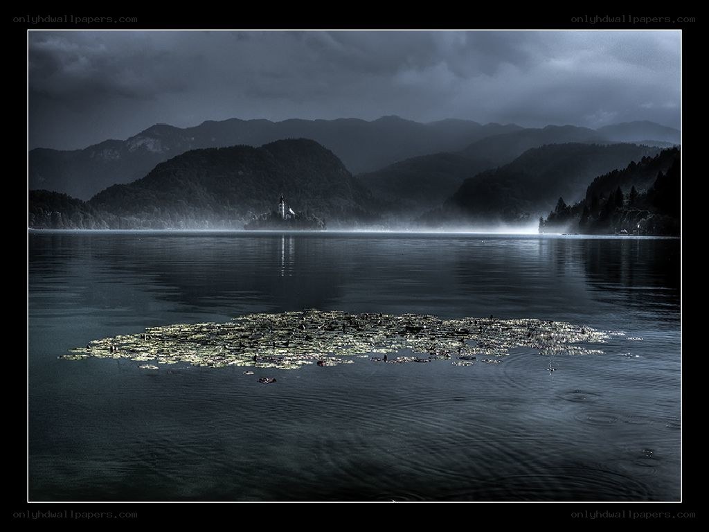 Lake Bled with lily pads