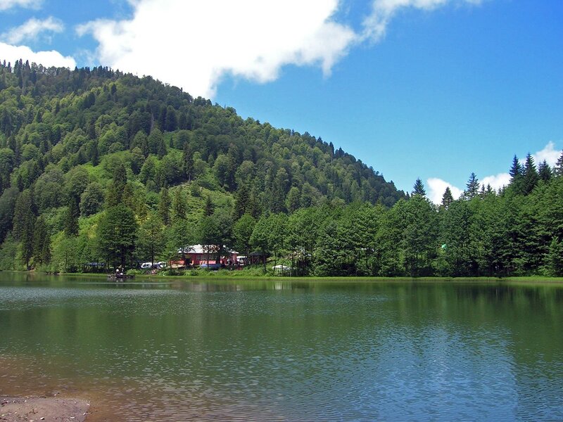 Lake by forested mountain