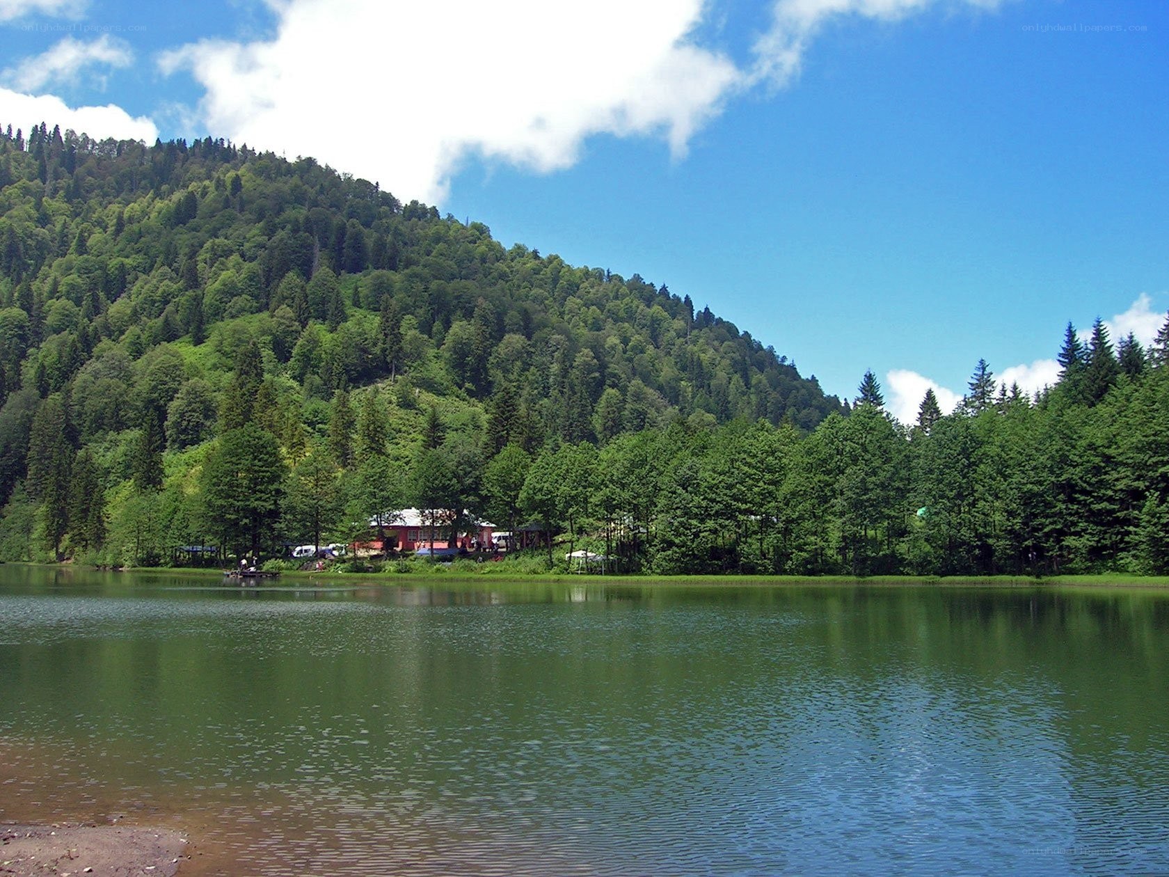 Lake by forested mountain