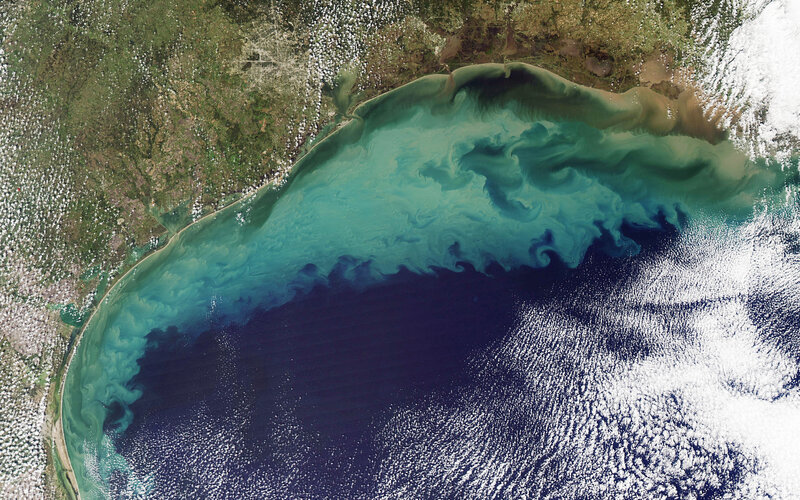Lake Erie algal bloom