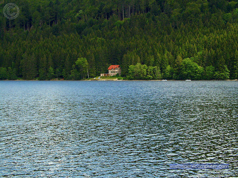 Lake house in forest