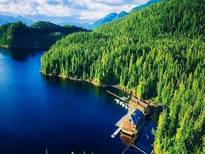 Lake House in Forest — Blue, Serene