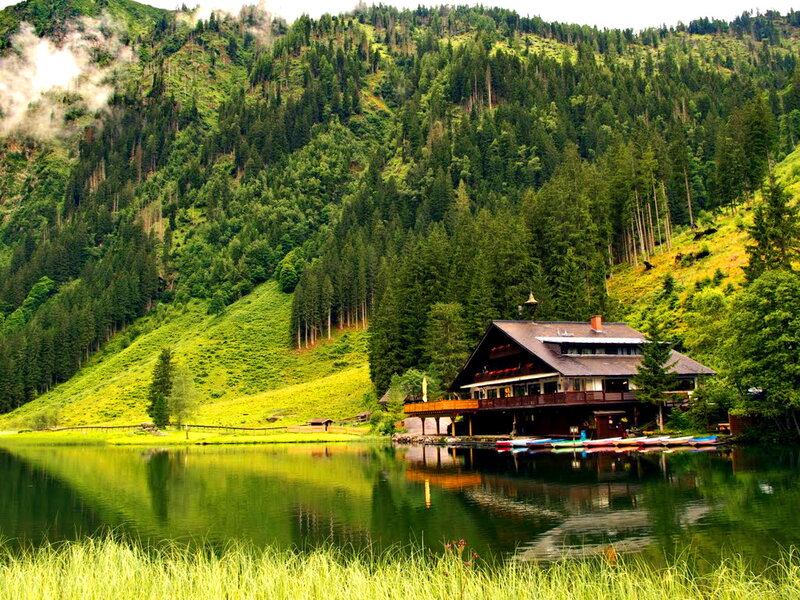 Lake House in Forest — Green