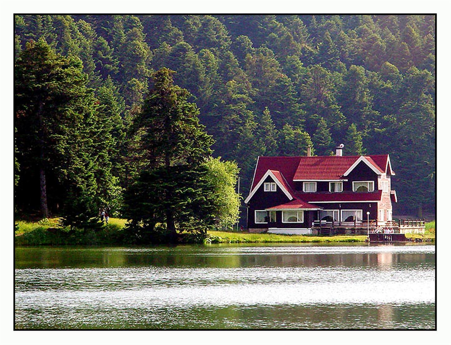 Lake house in forest