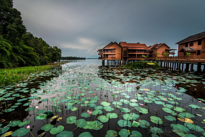 Lake Houses on Stilts