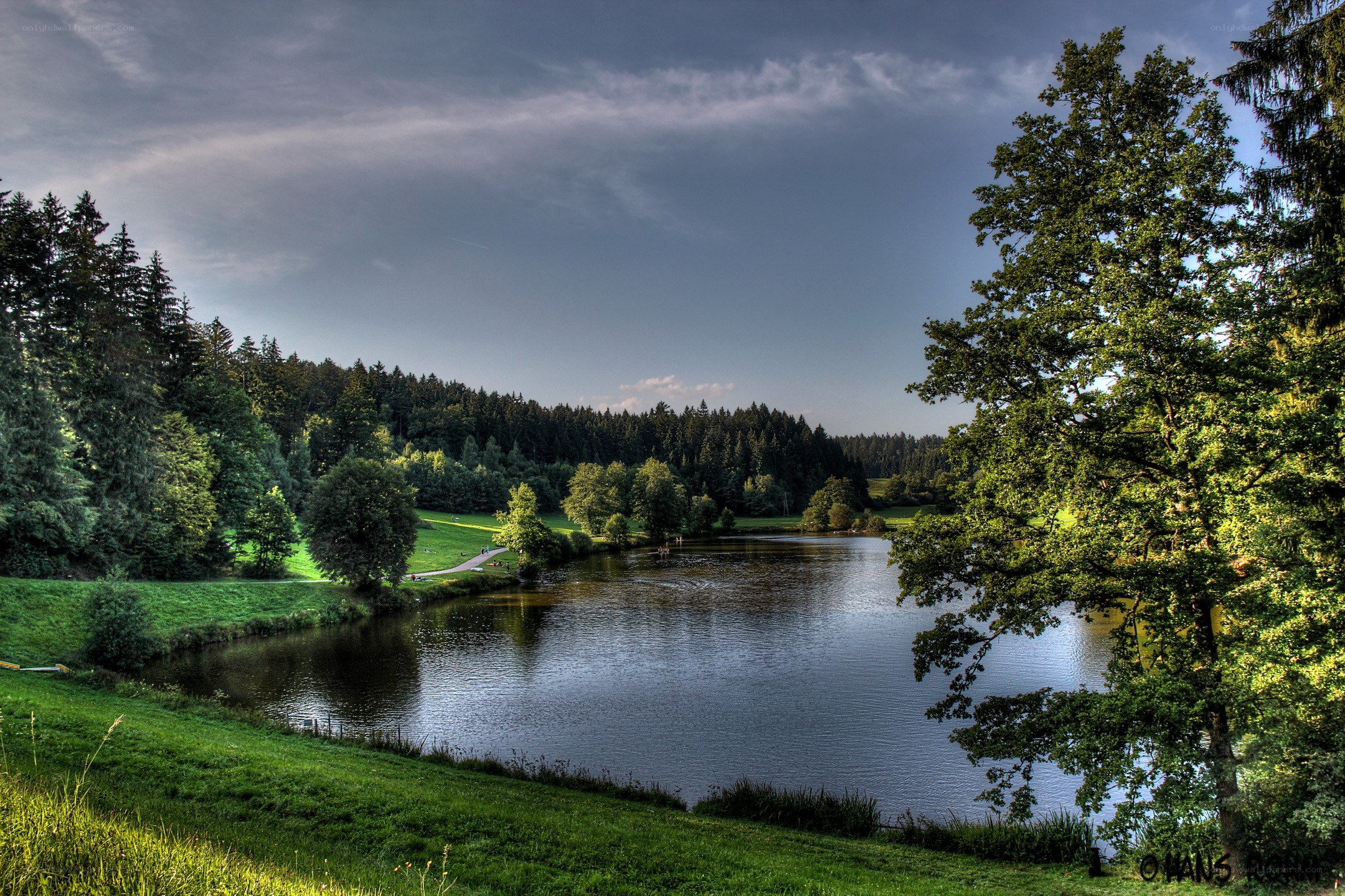 Lake in a forested landscape
