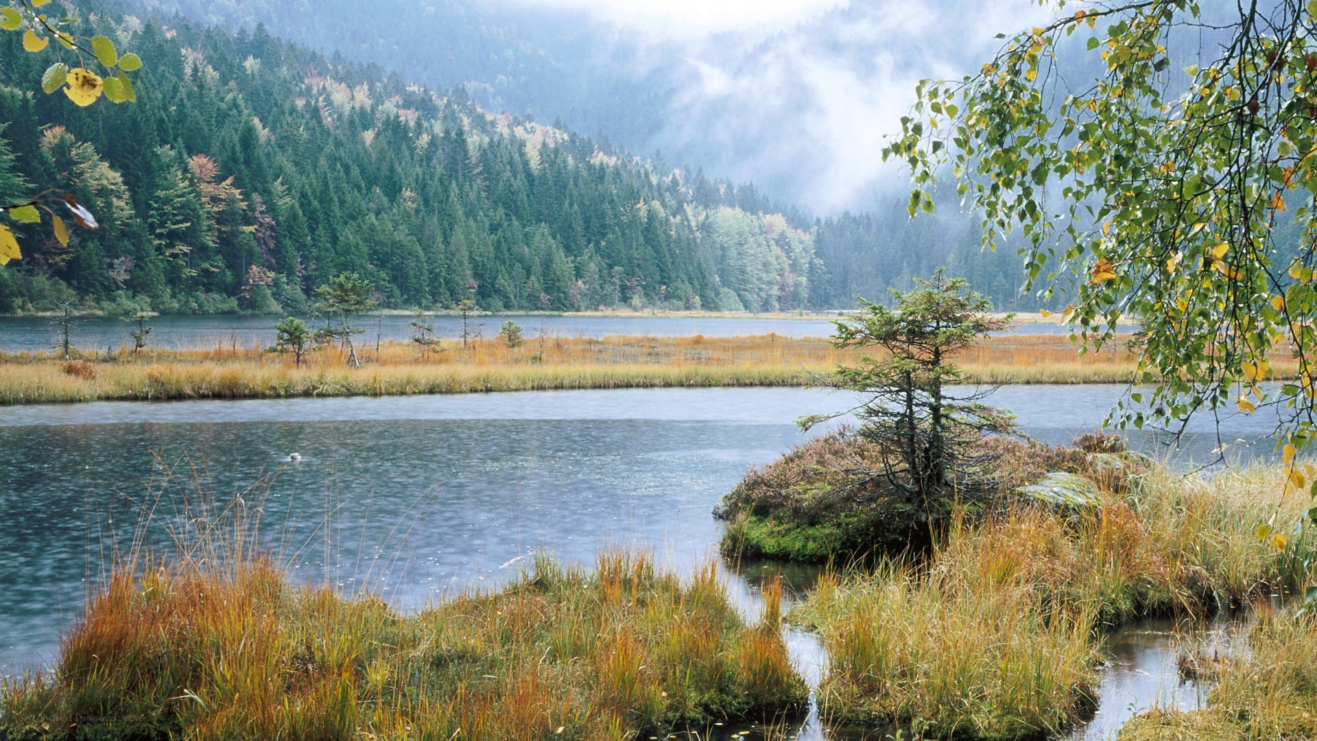 Lake in a forested mountain valley