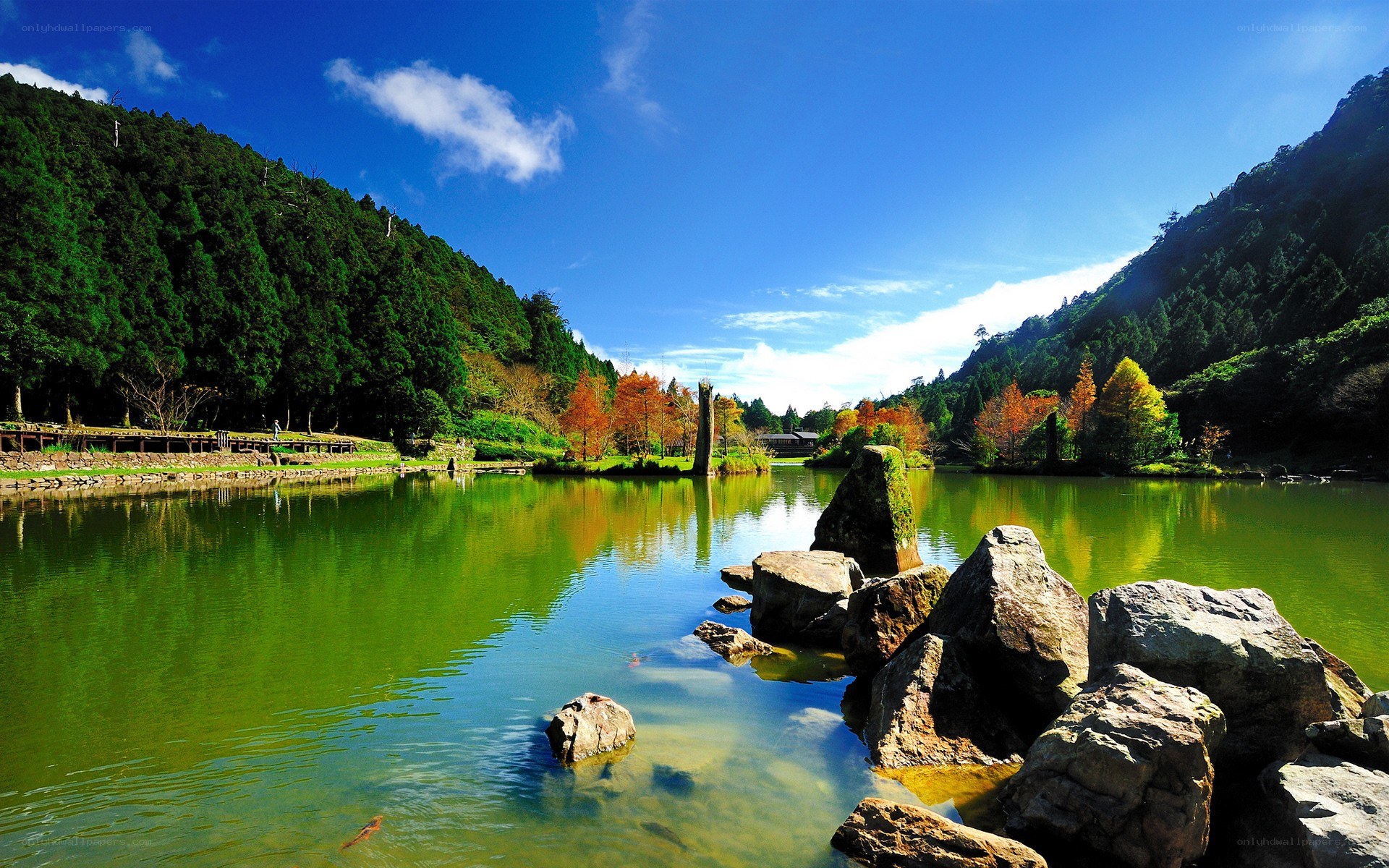 Lake in a forested valley