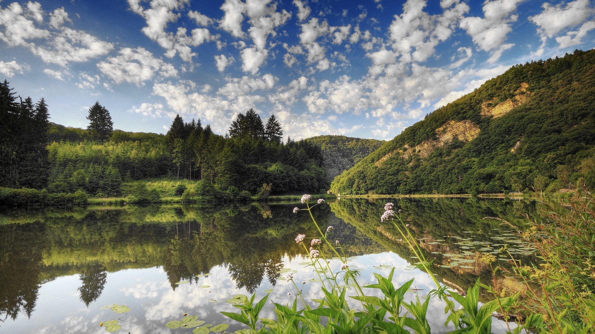Lake in a forested valley
