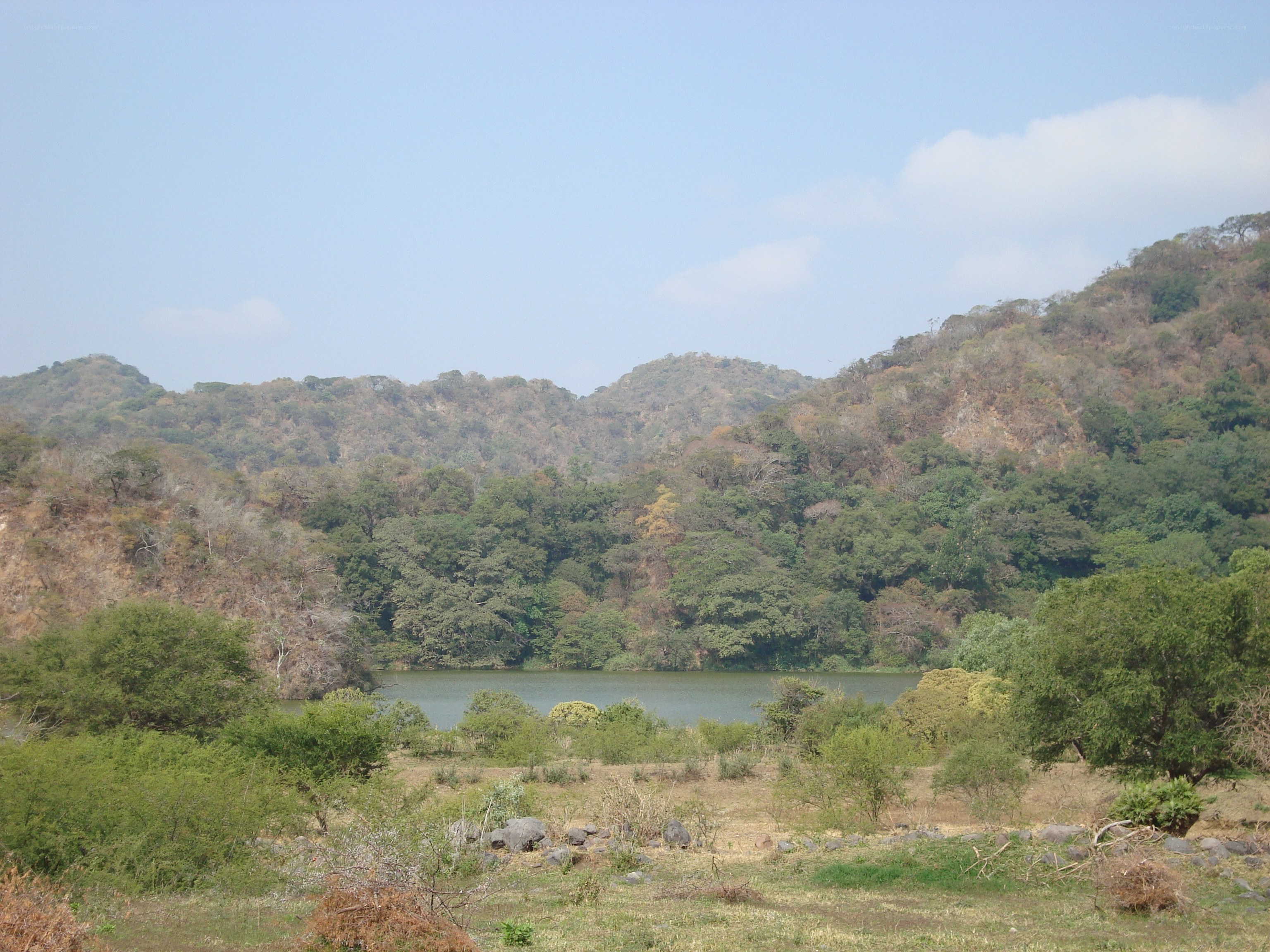 Lake in a forested valley